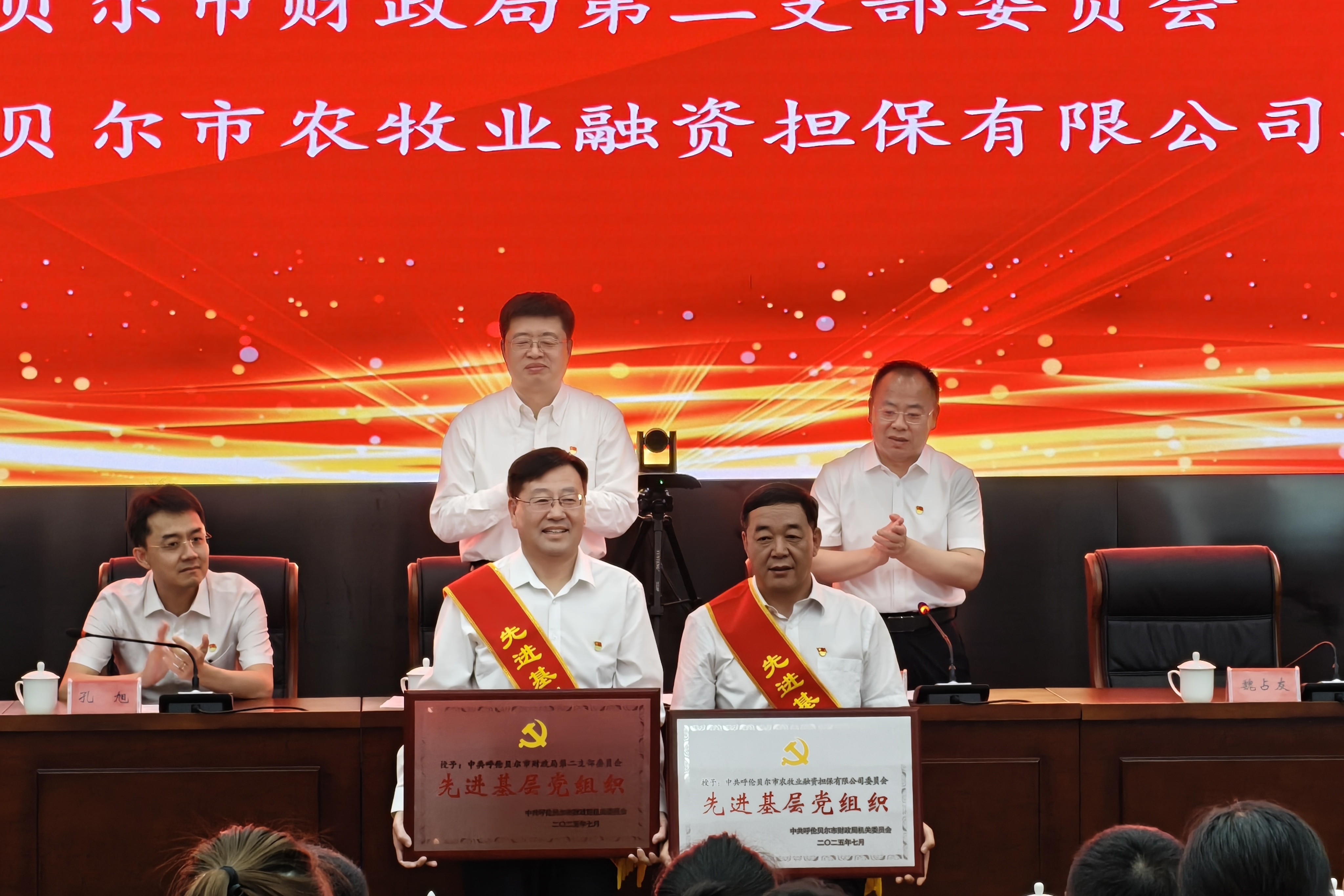 市農(nóng)擔(dān)公司黨委榮獲 “先進(jìn)基層黨組織” 稱號